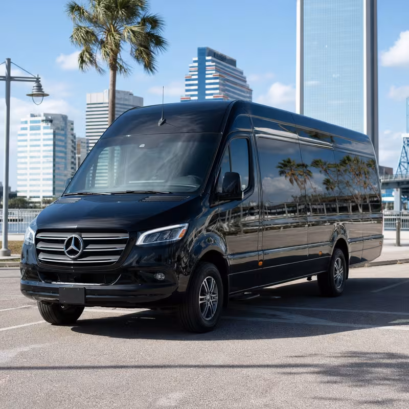 14 Passenger Sprinter Limo
